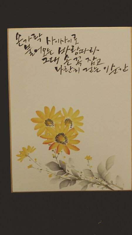 엽서